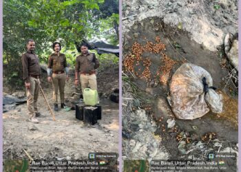 रायबरेली में आबकारी विभाग की बड़ी कार्रवाई: 70 लीटर कच्ची शराब बरामद, 350 किलो महुआ लहन नष्ट