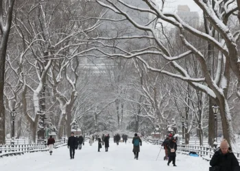 न्यूयॉर्क में बर्फ़ीले तूफ़ान से यात्रा में अराजकता फैल गई