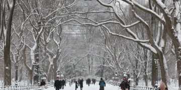 न्यूयॉर्क में बर्फ़ीले तूफ़ान से यात्रा में अराजकता फैल गई