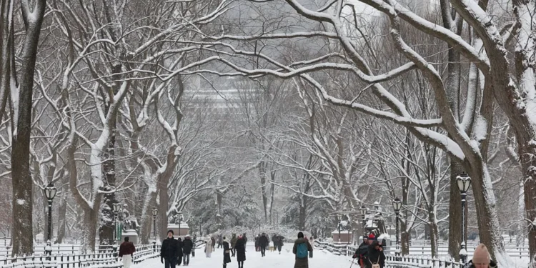 न्यूयॉर्क में बर्फ़ीले तूफ़ान से यात्रा में अराजकता फैल गई
