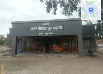 नगर पंचायत बृजमनगंज में मच्छरों का आतंक, लोग बोले-कब होगी फॉगिंग?