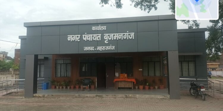 नगर पंचायत बृजमनगंज में मच्छरों का आतंक, लोग बोले-कब होगी फॉगिंग?