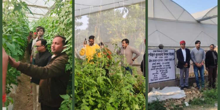 रायबरेली के सुदौली में पाली हाउस सत्यापन, आधुनिक तकनीक से टमाटर उत्पादन को बढ़ावा
