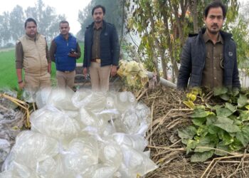 रायबरेली में आबकारी विभाग का छापा: 20 लीटर कच्ची शराब बरामद, 150 किलो महुआ लहन मौके पर नष्ट