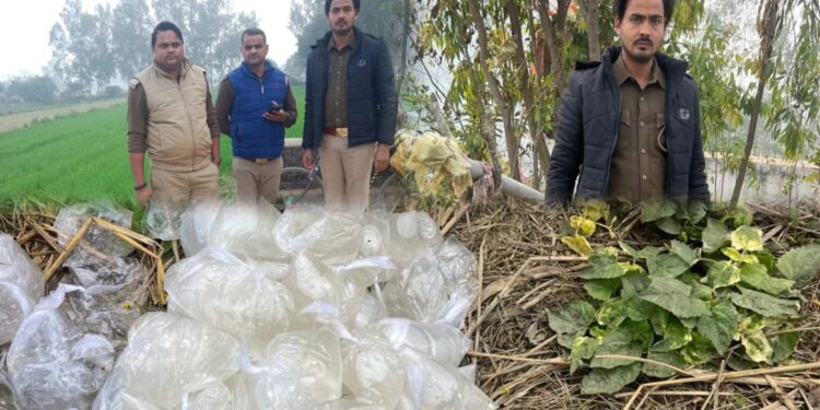 रायबरेली में आबकारी विभाग का छापा: 20 लीटर कच्ची शराब बरामद, 150 किलो महुआ लहन मौके पर नष्ट