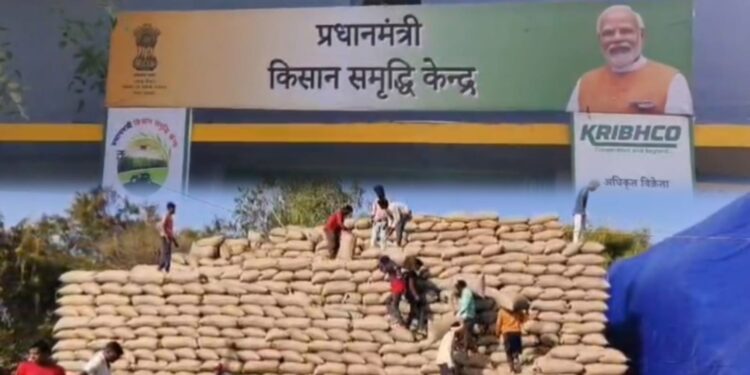 जनकपुर धान केंद्र में संकट: स्टोरेज फुल, बारिश और ऊपर से गुजरती बिजली लाइनें बनी खतरा