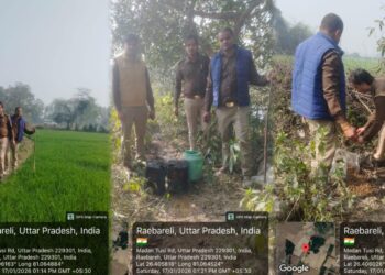 रायबरेली में आबकारी विभाग की बड़ी कार्रवाई, 65 लीटर अवैध शराब बरामद