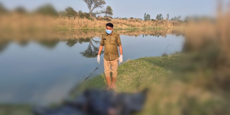 रायबरेली में सई नदी से अज्ञात शव बरामद, उन्नाव की ओर से बहकर आने की आशंका