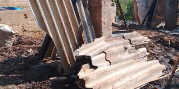 आवारा जानवरों के तांडव से टीनशेड गिरा, गाय की मौत, डीएम से शिकायत