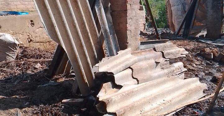 आवारा जानवरों के तांडव से टीनशेड गिरा, गाय की मौत, डीएम से शिकायत