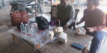 होली से पहले खाद्य विभाग का छापा, 498 किलो रंगीन कचरी जब्त