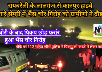 ग्रामीण हुए सतर्क तो भैंस चोरी करने पहुंचे 4 चोर पिकअप छोड़कर भागे