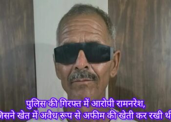 महराजगंज में अफीम की अवैध खेती का भंडाफोड़, पुलिस ने 450 पौधों के साथ आरोपी को किया गिरफ्तार