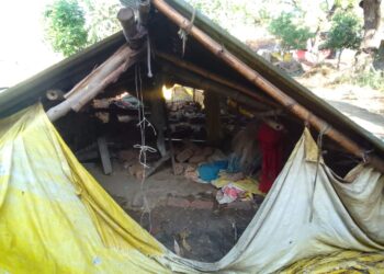 रायबरेली में भीषण तूफान का कहर, भैंस-गाय की मौत, किसान घायल, सैकड़ों बीघा फसल बर्बाद