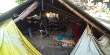 रायबरेली में भीषण तूफान का कहर, भैंस-गाय की मौत, किसान घायल, सैकड़ों बीघा फसल बर्बाद