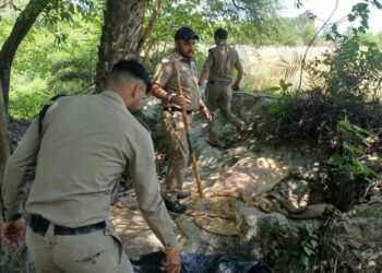 बाजपुर में अवैध शराब के खिलाफ कार्रवाई, 2 भट्टियां तोड़ीं, 4000 लीटर लाहन नष्ट