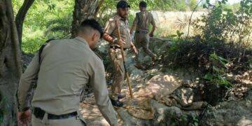 बाजपुर में अवैध शराब के खिलाफ कार्रवाई, 2 भट्टियां तोड़ीं, 4000 लीटर लाहन नष्ट