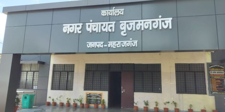 बृजमनगंज में मच्छरों का कहर, फॉगिंग न होने से लोग परेशान, दवा छिड़काव की मांग तेज