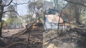 रायबरेली में चूल्हे की चिंगारी से भीषण आग: तीन घर जले, छह मवेशियों की मौत