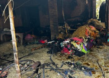 रायबरेली में चूल्हे की चिंगारी से भीषण आग: तीन घर जले, छह मवेशियों की मौत
