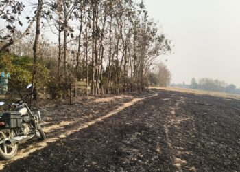 पराली की आग से बाग जलकर राख, पीड़ित ने की कार्रवाई और मुआवजे की मांग