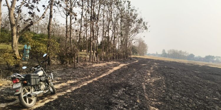 पराली की आग से बाग जलकर राख, पीड़ित ने की कार्रवाई और मुआवजे की मांग