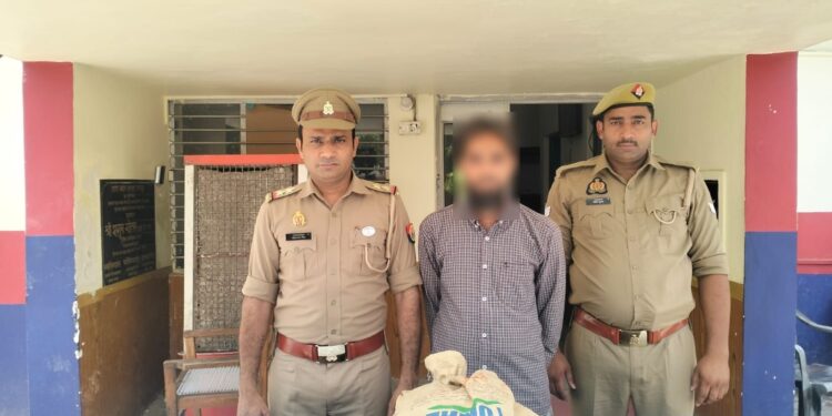 रामपुर में गौकशी कांड का खुलासा, तमंचा और हथियारों के साथ आरोपी गिरफ्तार