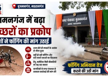 बृजमनगंज में बढ़ा मच्छरों का प्रकोप, फॉगिंग और दवा छिड़काव न होने से लोग परेशान