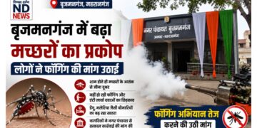 बृजमनगंज में बढ़ा मच्छरों का प्रकोप, फॉगिंग और दवा छिड़काव न होने से लोग परेशान