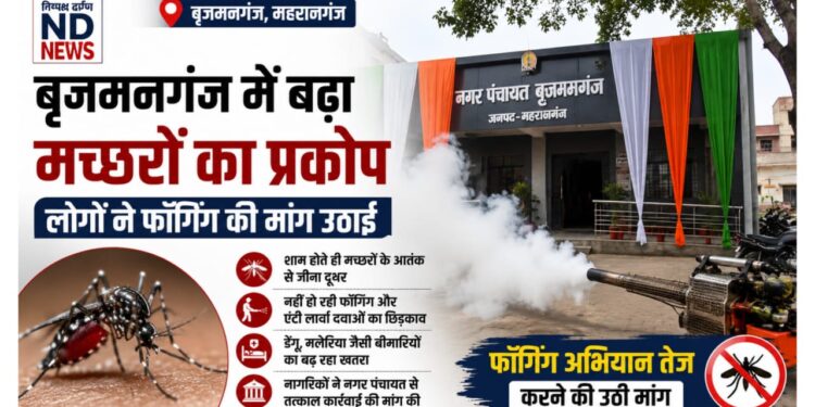 बृजमनगंज में बढ़ा मच्छरों का प्रकोप, फॉगिंग और दवा छिड़काव न होने से लोग परेशान