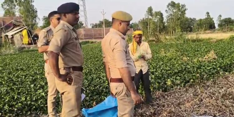 रायबरेली में तालाब किनारे अज्ञात बुजुर्ग का शव मिलने से सनसनी