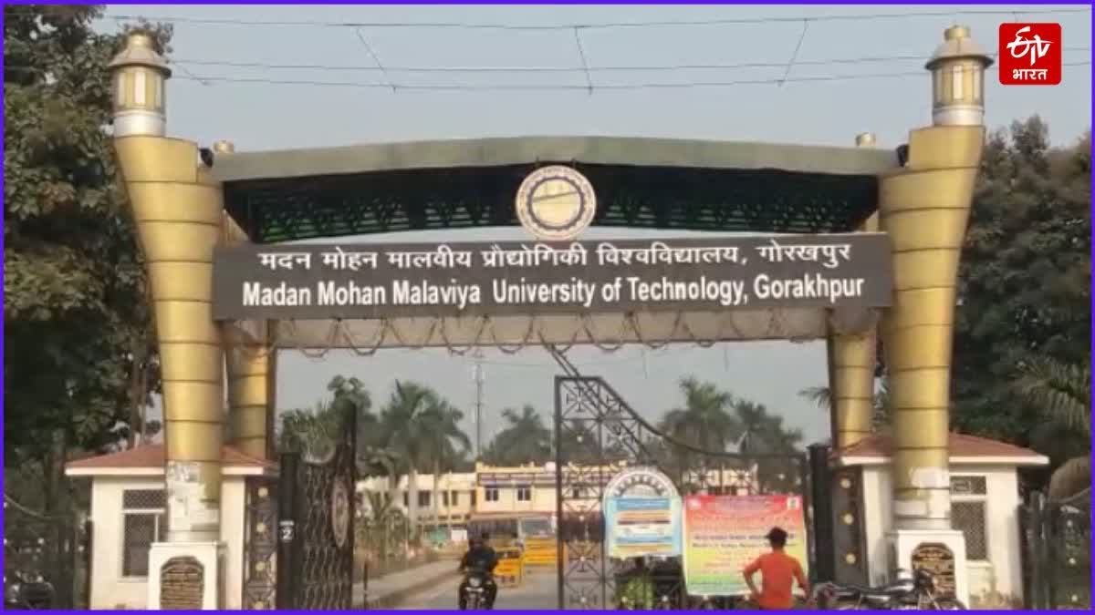 मछली पालकों के लिए बड़ी खुशखबरी: MMMUT के अनोखे आविष्कार को पेटेंट, घर ...