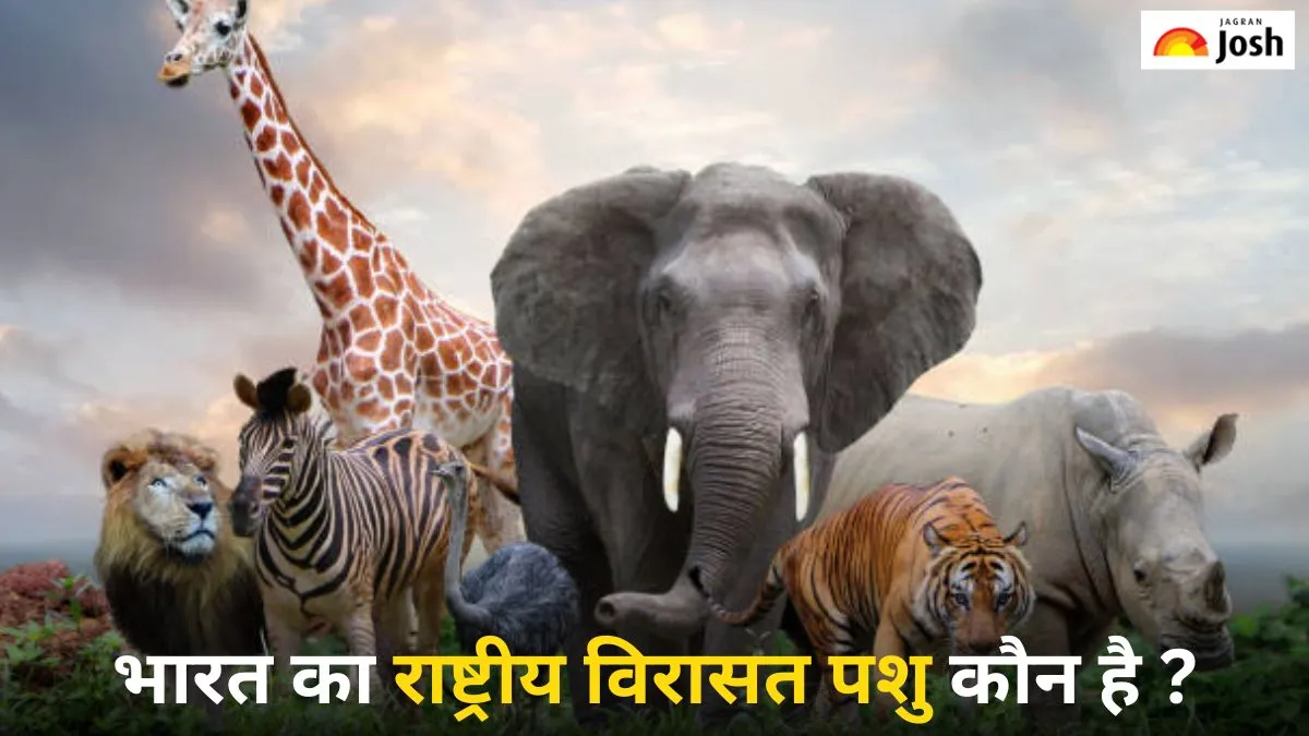 भारत का राष्ट्रीय विरासत पशु कौन-सा है, यहां जानें नाम